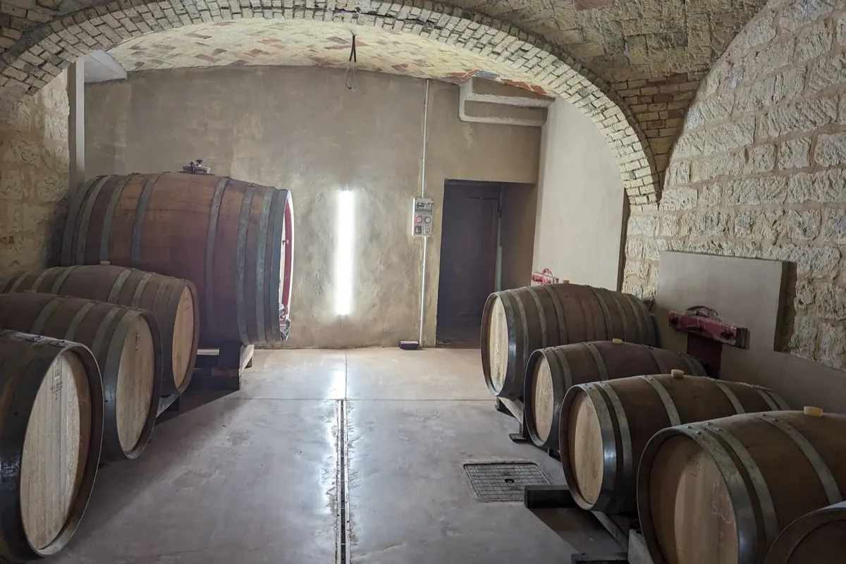 Botti di rovere nella cantina di Tenuta Magrini, sotto la volta in mattoni