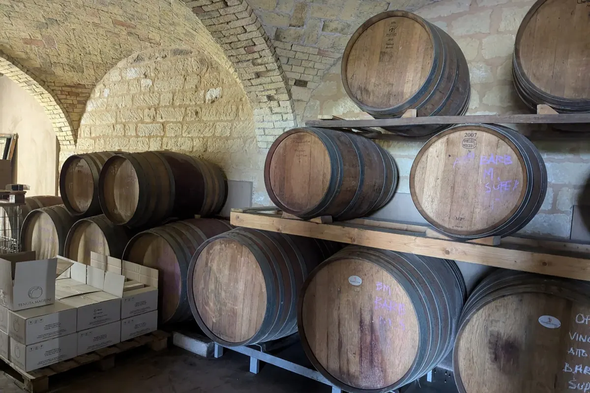 La cantina storica di Tenuta Magrini con le botti grandi
