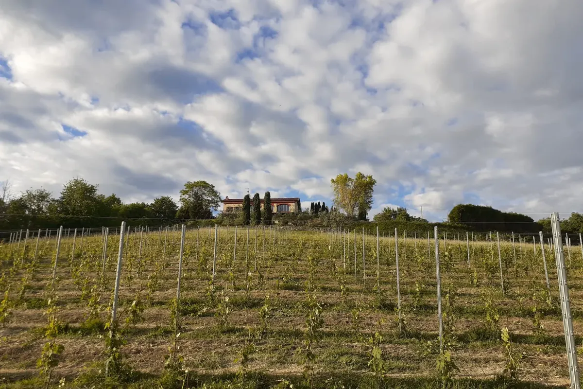 La cascina di Tenuta Magrini in collina, circondata dalla vigna