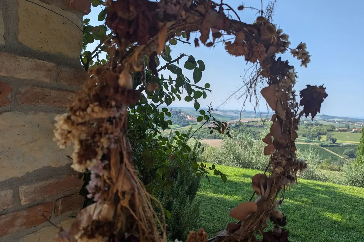 Corona di tralci secchi appoggiata al muro in pietra della cascina