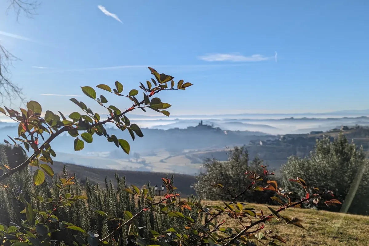 Le colline del Monferrato in autunno, con la nebbia nella valle