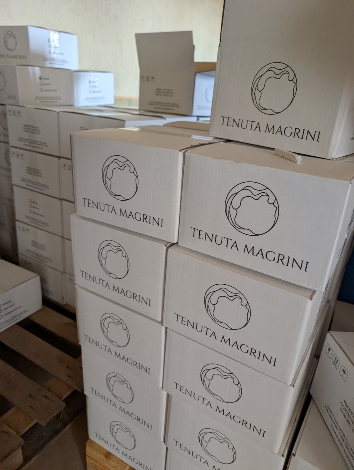 Vigneti del Monferrato in autunno