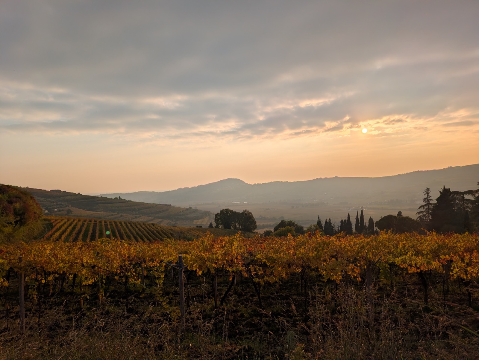 Foliage autunnale a Tenuta Magrini: filari dorati al tramonto sulle colline del Monferrato