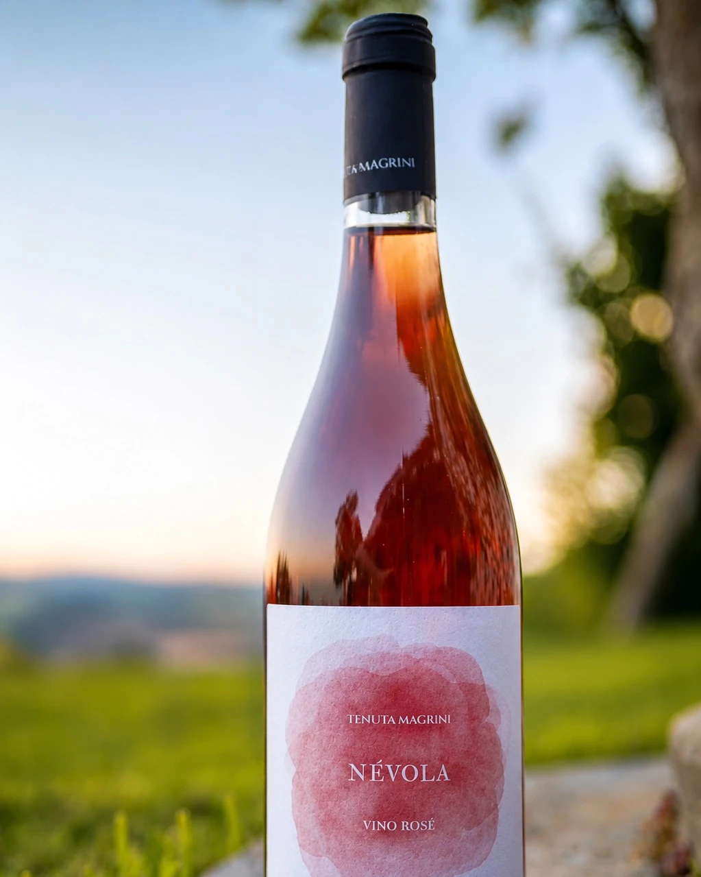 Bottiglia di Névola sul muretto, con le colline del Monferrato al tramonto