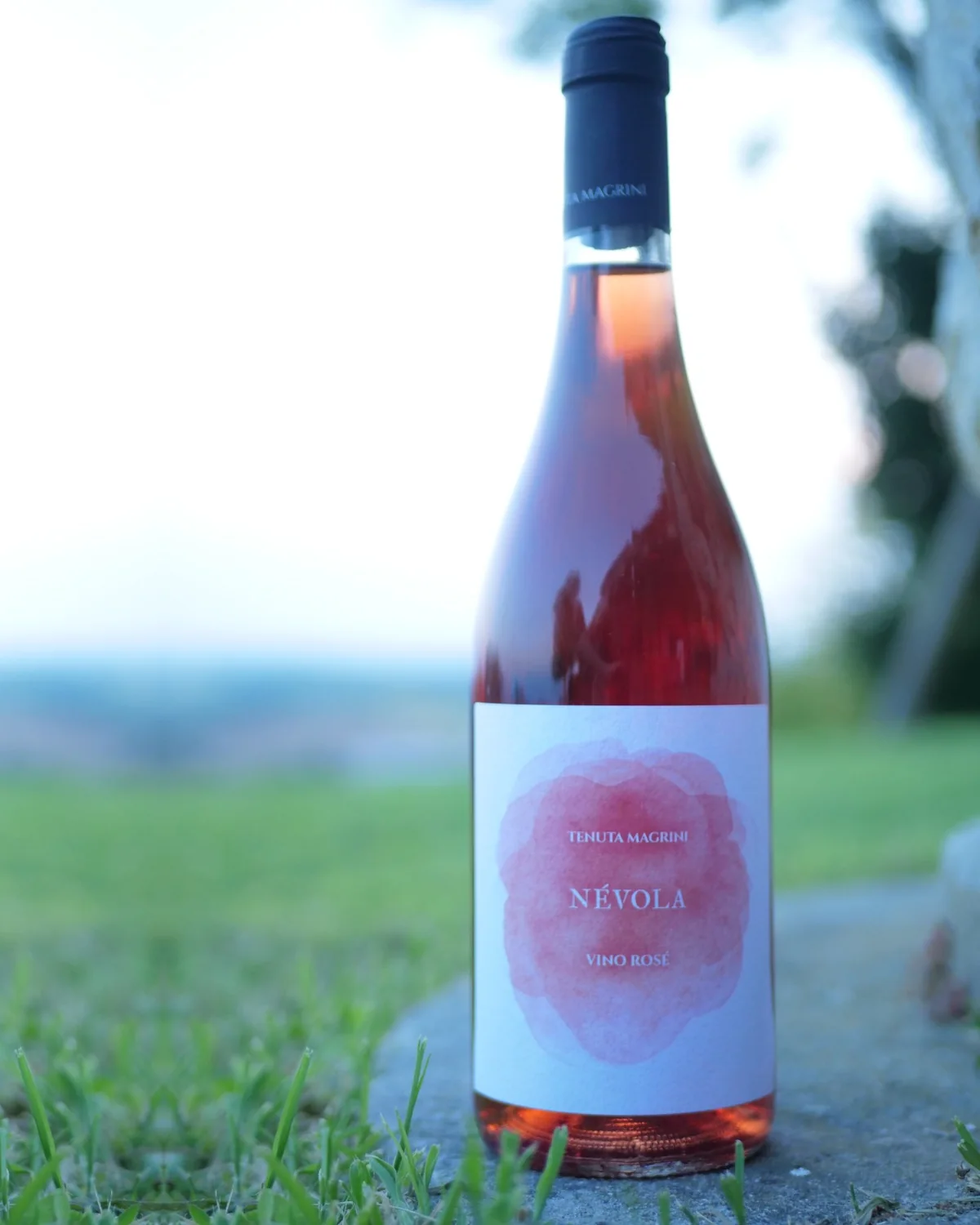Bottiglia di Névola, vino rosé di Nebbiolo, al tramonto sulle colline del Monferrato